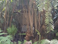 -Fern Forest Cafe