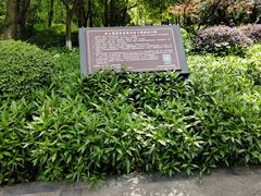-重庆彩云湖湿地公园