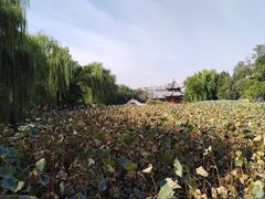 -莲池书院博物馆