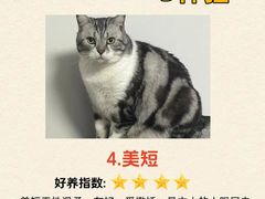 -宠颐生斯嘉宠物医院·急重症·心内科(谷阳北路分院)
