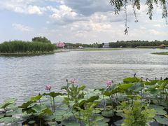 -白洋淀景区