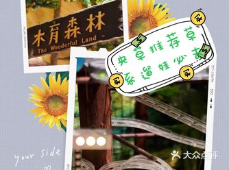 偶然在网上发现了这个绿色系去处，里面所有东西不管大小
