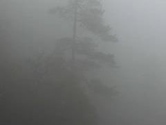 -东天目山风景区