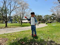 -羊山湖公园