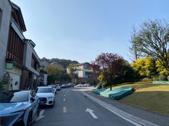 -铁山坪森林公园