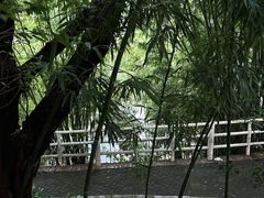 -晓港公园
