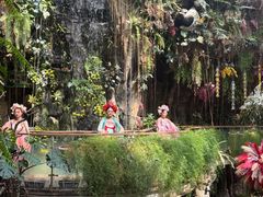 -正佳雨林生态植物园