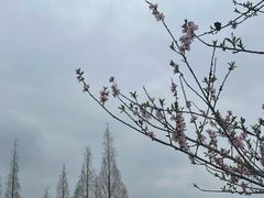 -蜀绣公园