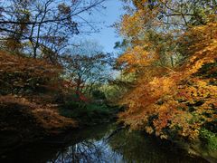 -杭州半山国家森林公园
