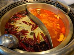 番茄鸳鸯锅-小龙坎老火锅(北京三里屯店)
