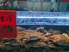 -金海湾海鲜排档(朱家尖店)