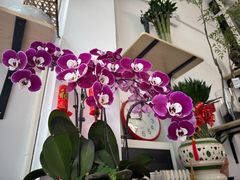 -FEI FEI FLOWER鲜花店·气球派对·宝宝宴布置(虹口德必运动Loft店)