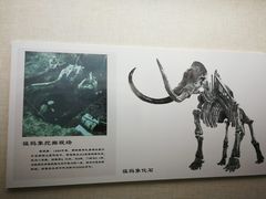 -呼伦贝尔民族博物馆