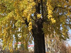 -源深体育中心-停车场