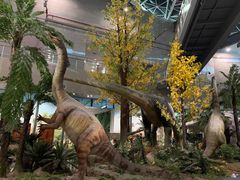 -湖南省地质博物馆