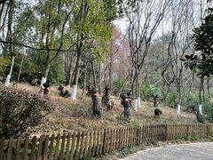-天目湖山水园