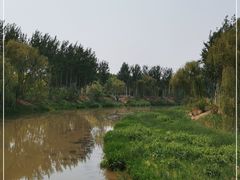 -东郊湿地公园