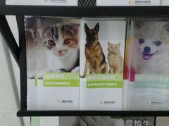 android_upload_pic-瑞鹏·疫苗·绝育·宠物医院(金沙洲店)