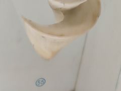 -青岛贝壳博物馆