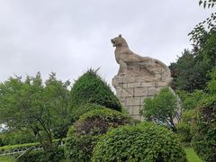 -帽儿山国家森林公园