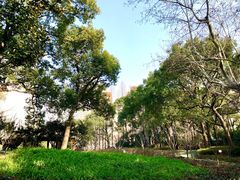 -徐家汇源景区-衡山公园