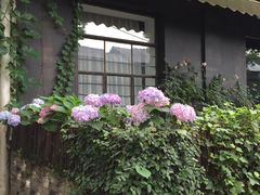 -凤凰御元艺术基地
