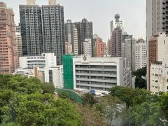 -香港大学