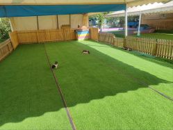 -萌宠亲子动物乐园(槐房万达店)