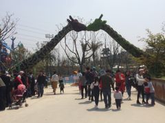 -苏州乐园森林水世界