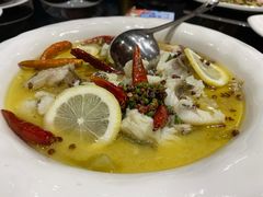 酸汤小虎斑-老六海鲜城