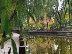 -迎泽公园