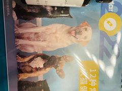 -爱侣宠医·鹦鹉专科·小型哺乳类·异宠专科(灵石路店)