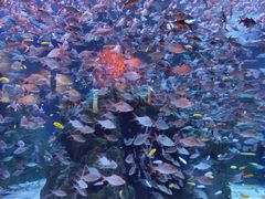 -成都浩海立方海洋公园