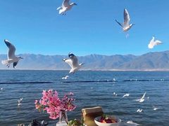 -大理洱海