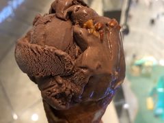 黑巧克力冰淇淋-LUNEURS月乐诗 冰淇淋咖啡(环贸店)