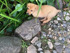 -碓臼峪自然风景区