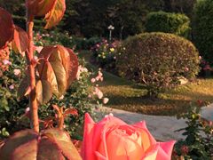 -人民公园(罗湖区)