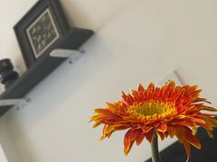 -home 逅·慕西餐厅