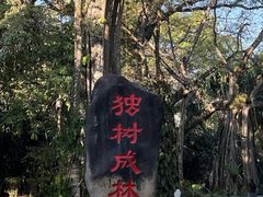 -独树成林