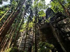 -梭布垭石林景区