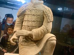 -秦始皇兵马俑博物馆-停车场