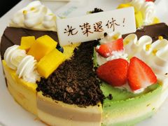 -维尔纳斯·生日蛋糕·动物奶油冰淇淋蛋糕(六里桥店)