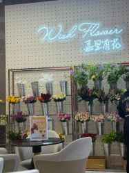 -云南吴氏嘉美医疗美容医院