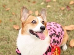 -西北湖绿化广场