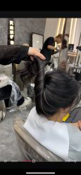 点击看大图 -KS COLOUR漂色·染发·画染