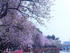 -星湖旅游景区七星岩