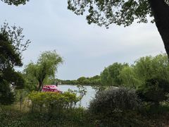 -上海鲜花港
