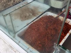 -红星兔丁(东风大桥店)