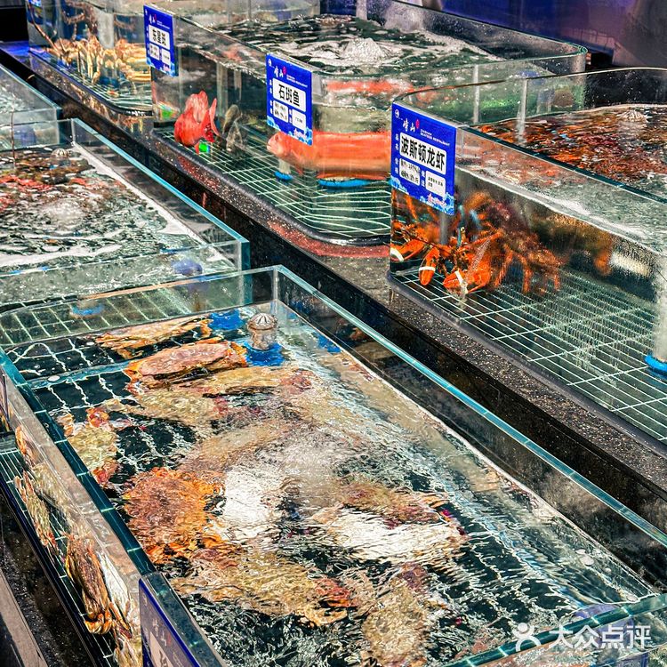 不用去宁波！上海也有了！