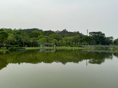 -东莞植物园